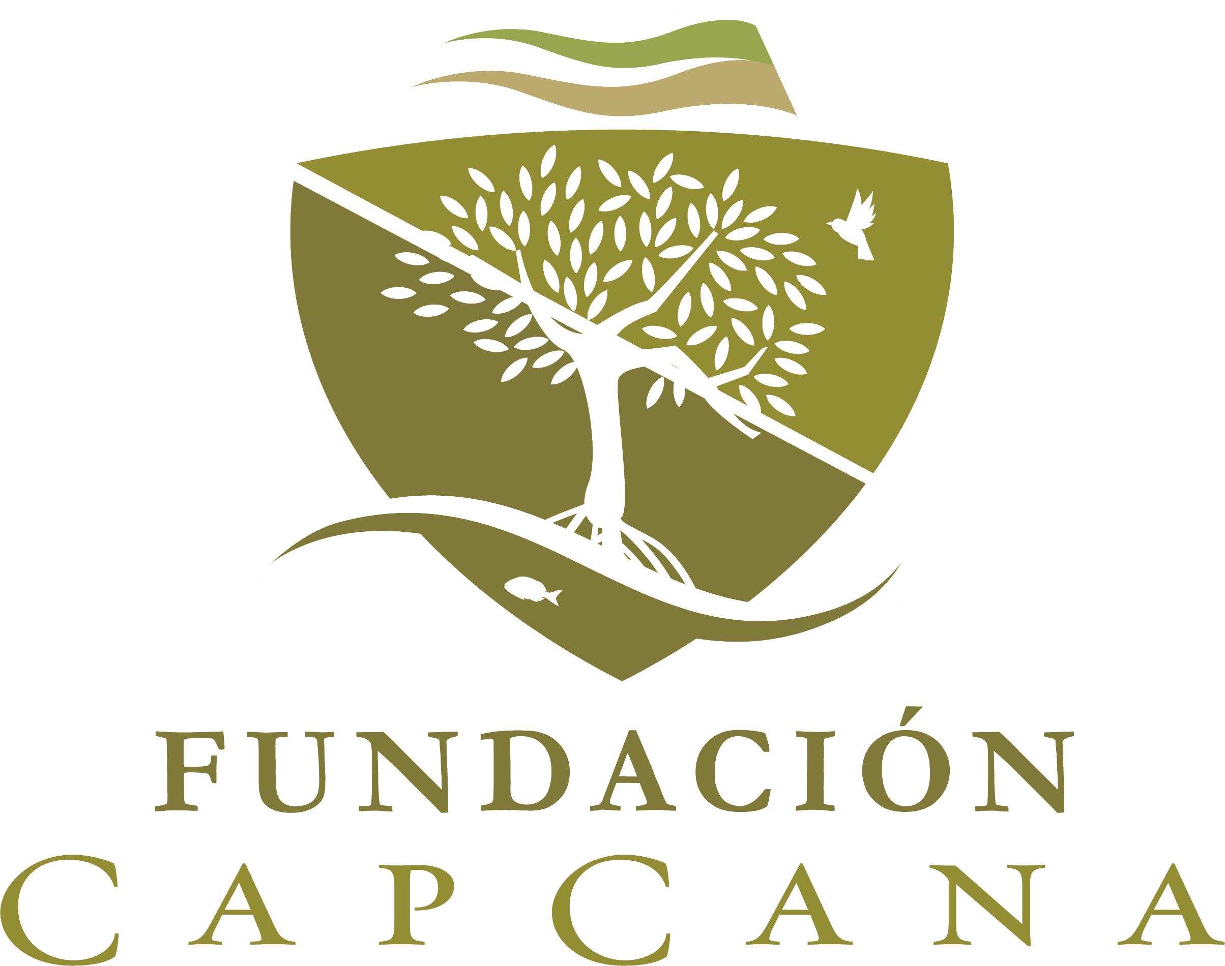 Fundación Cap Cana : 