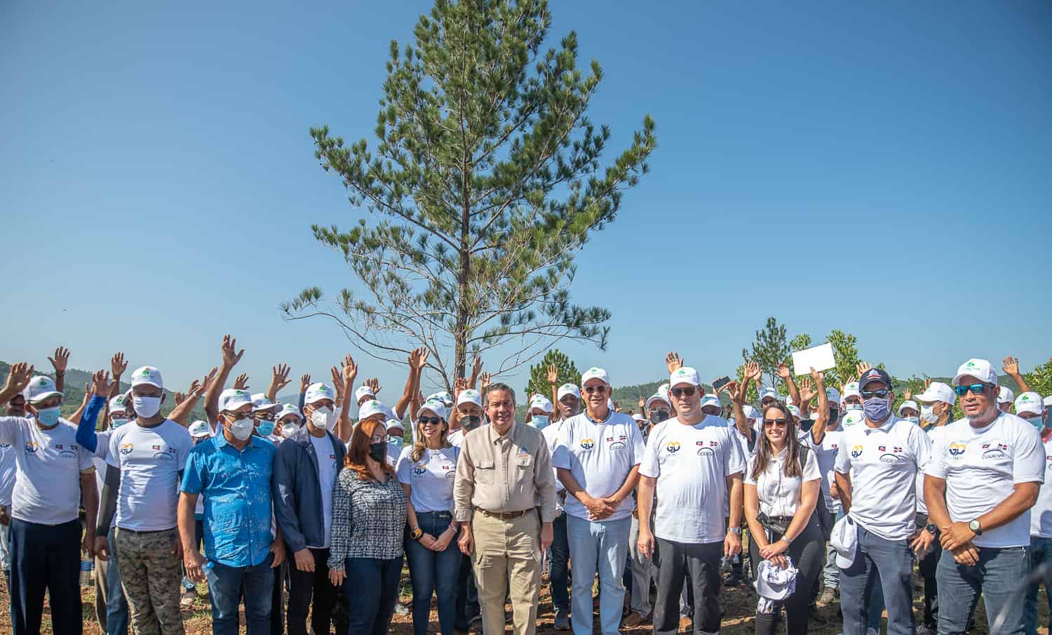 Grupo M CODEVI siembra más de 10,000 pinos en la provincia de Dajabón