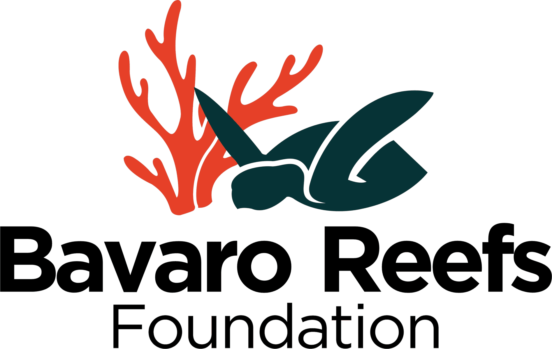 Fundación Arrecifes de Bávaro : 
