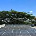 Empresas colaboran con la donación e instalación de un sistema fotovoltaico para la UASD recinto Mao