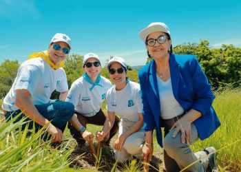 Popular refuerza compromiso ambiental con la segunda jornada de reforestación de 2024