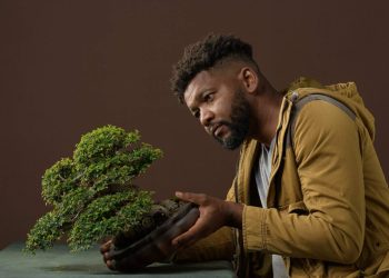 Vuelve la Exposición Nacional de Bonsai en Ágora Mall
