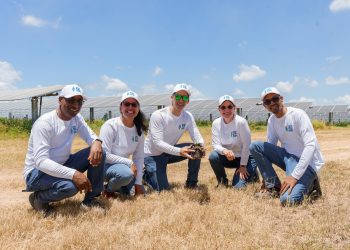 Jornada Reforestacion en Parque Esperanza