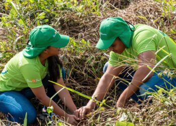 Dos Pinos reafirma su compromiso ambiental en República Dominicana Quinto Reporte de Sostenibilidad