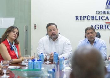 El gobierno dominicano PNUD BID desarrollo sostenible
