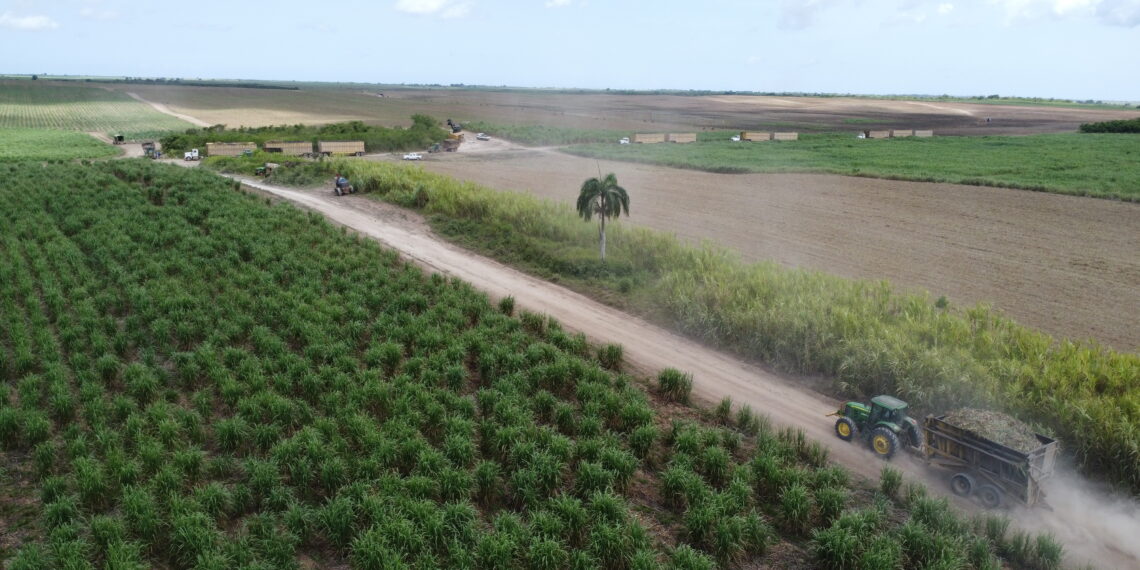 Bioenergia Republica Dominicana Suecia JORD