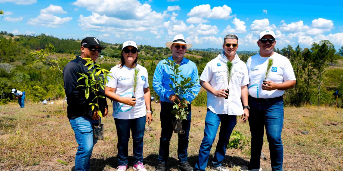 Colaboradores de Grupo Popular realizan jornada de reforestación en Plan Sierra