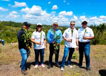 Colaboradores de Grupo Popular realizan jornada de reforestación en Plan Sierra