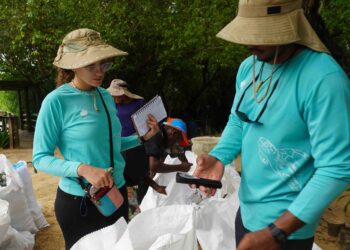 Fundación Cap Cana recolecta más de 380 kilos de desechos con jornada de limpieza en Playa Macao