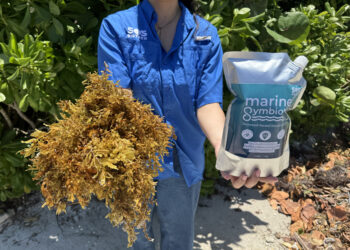 Sargazo en Republica Dominicana biorefineria primer año de operacion sos carbon sos biotech rd sostenible