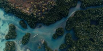 Arrecifes de Coral Panorámica