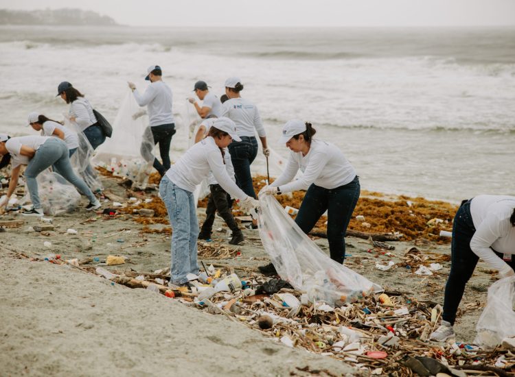 recolección de plásticos PET en Puerto Río Haina