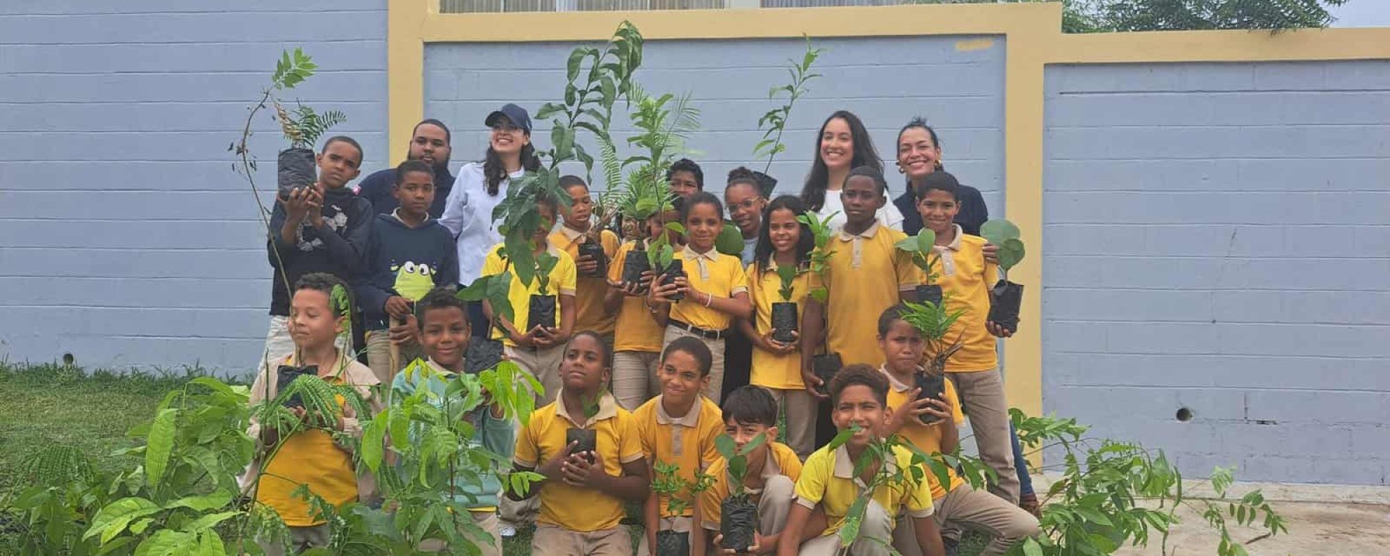 Juntos por una escuela verde