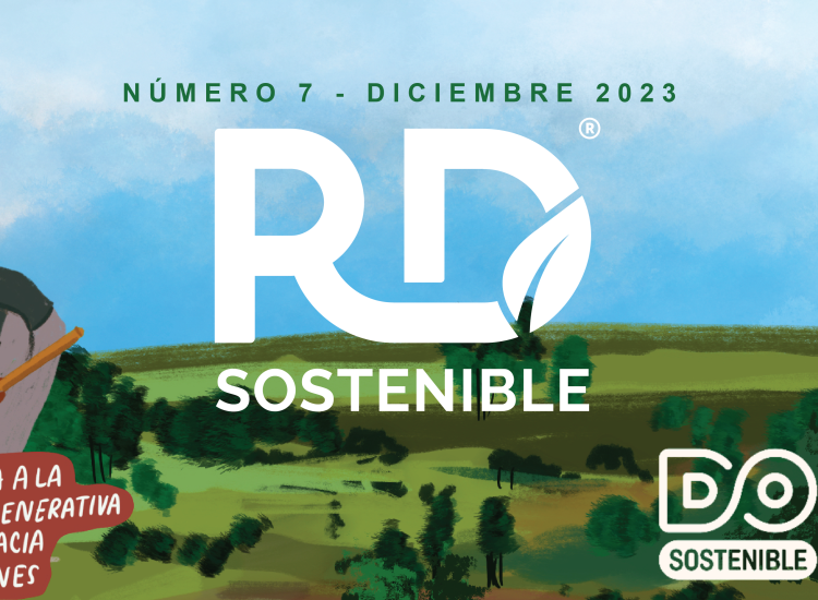 RD Sostenible No 07